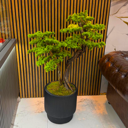 Yapay Bonsai Ağacı – Dekoratif